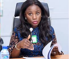 Nigeria’s N590 Billion Series 1 Bond To Restore Investor Confidence In Power Sector- Verheijen