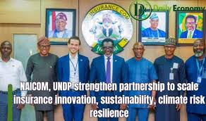 NAICOM Enhances Partnership With UNDP To Boost Scale Insurance Innovation, Sustainability