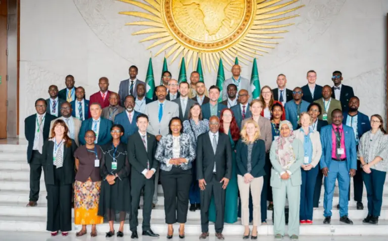 African Single Electricity Market Advances With Setting Up Of Oversight Committee By AU 