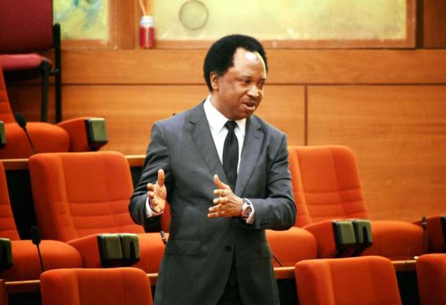 A Nigerian Senator Receives N13.5m Monthly Outside Salary- Sen. Sani