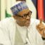 Buhari Says Aggrieved APC Members Can Go To Court For Redress 