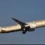 Etihad Airways Thrills Customers Traveling In Economy Class