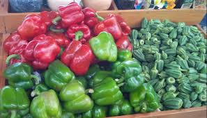 Gtbank food and drink fair bubbles with fresh farm products, innovations