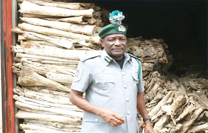 Customs FOU Seizes N15b Donkey Hides In Lagos