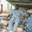 Customs Moves Seized Rice To IDP Camps 