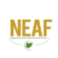 NEAF Seeks Consolidation And Export Of TSA Policy Beyond Nigeria 