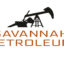 Savannah Petroleum PLC Changes Name To Savannah Energy PLC