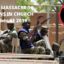 Gunmen massacre 14 Christians during Protestant service in Burkina Faso