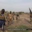 35 Killed As ISWAP Jihadist Attacks Borno State: Sources