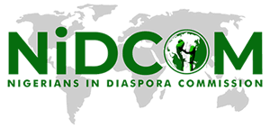 NIDCOM AT TWO: BEYOND EXPECTATIONS