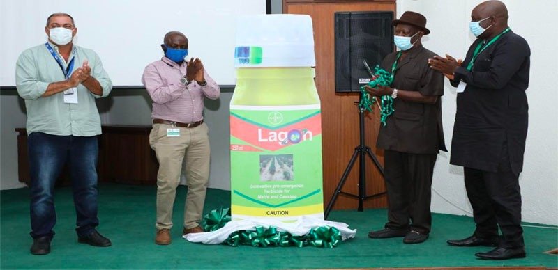 Bayer Develops Herbicide To Raise Cassava Yields