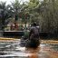 Nigeria’s Santa Barbara Wellhead Spills 2 Million Barrels Of Oil 