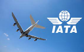 IATA says Africa traffic rises to 116% in 2022- IATA