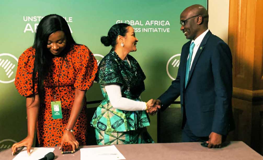 NNPCL UNGC Participation To Help Drive Energy Transition