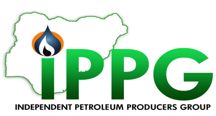 Nigeria Should Move Beyond Exporting Raw Hydrocarbons- IPPG