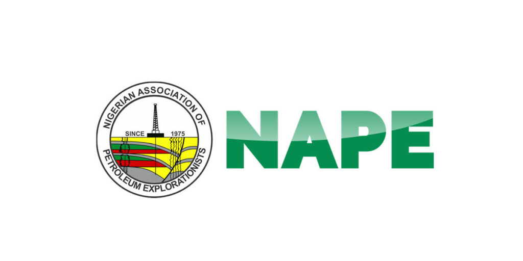 NAPE Seeks Stronger Partnerships To Strengthen Nigeria’s Energy Security