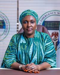 NEMA Moves To Kogi State As Flood Threat Grows