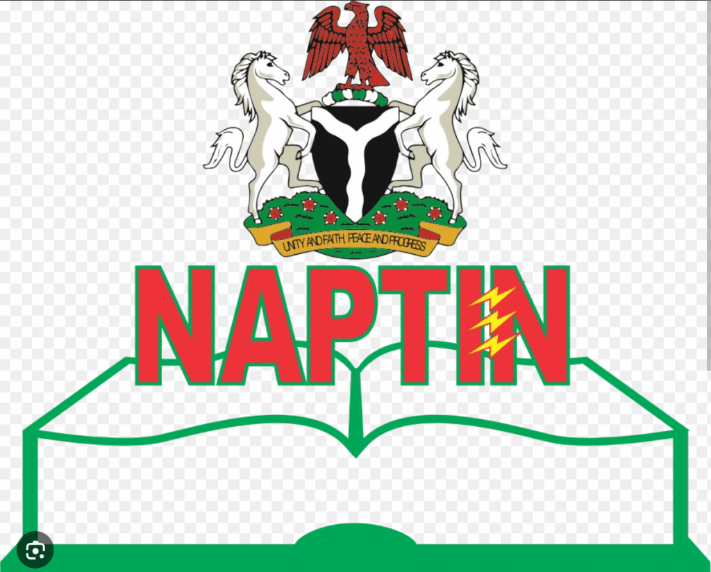 Presidential Meter Initiative And NAPTIN Embarks On Meter Installation Program For Youths