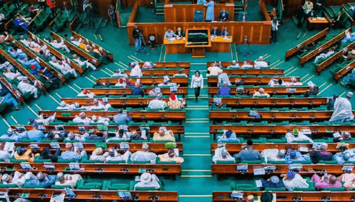 Nigerian Lawmakers Seek New Agency To Promote Renewable Energy Development