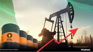 Nigeria Accounts For 24.91% Of Indonesia Crude Import In H1, 2026