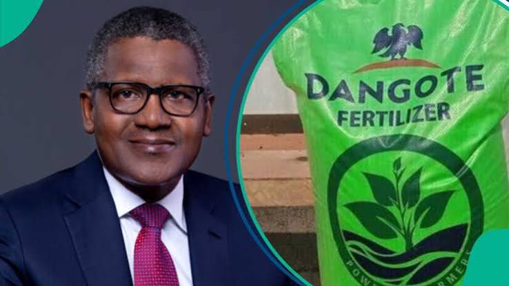 Dangote To List 10% Of Ethiopian Fertilizer Business